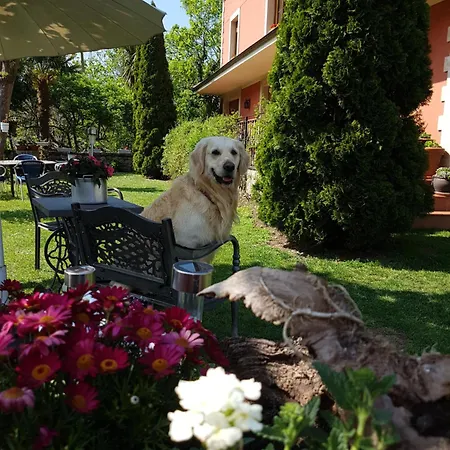 Hotel Rural El Torrejon Arenas De Cabrales