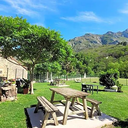 Rural El Torrejon Arenas De Cabrales