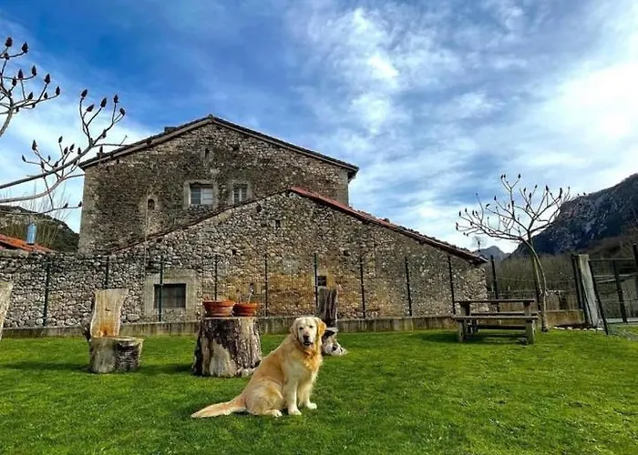 Hotel Hotel Rural El Torrejon