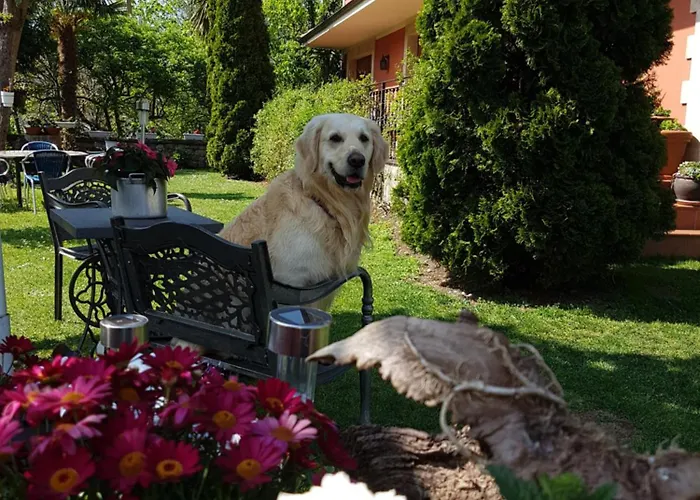 Hotel Hotel Rural El Torrejon Las Arenas