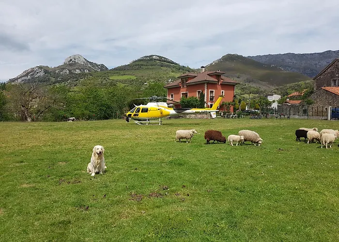 Hotel Hotel Rural El Torrejon Las Arenas