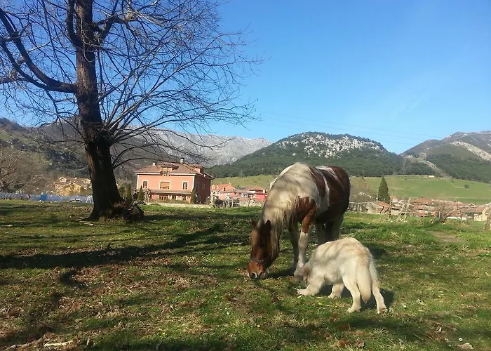 Hotel Rural El Torrejon Hotel 2*