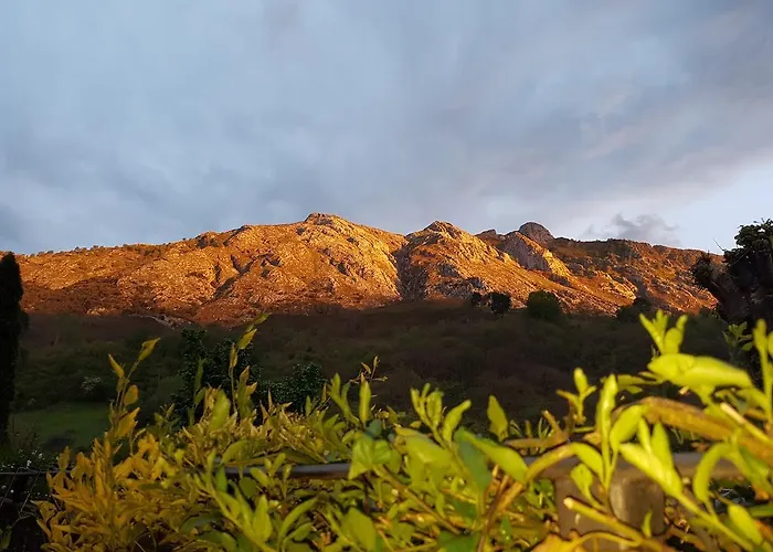 Rural El Torrejon 酒店