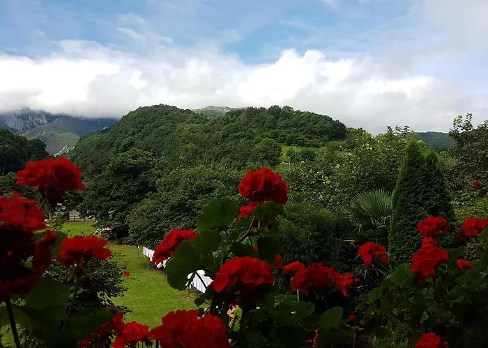 Hotel Hotel Rural El Torrejon