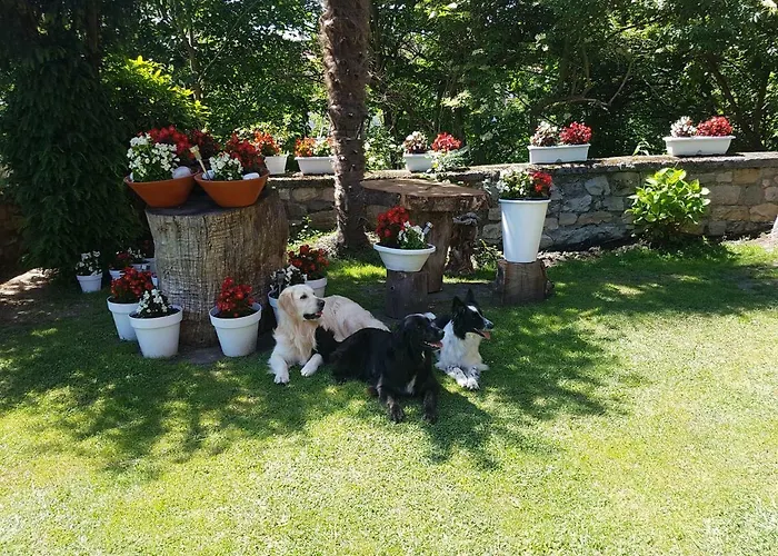 Hotel Rural El Torrejon Hotel 2*